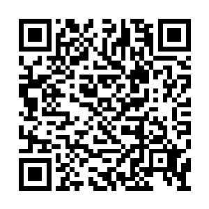 其实他也正准备过个一两天便带程国栋他们出去二维码生成