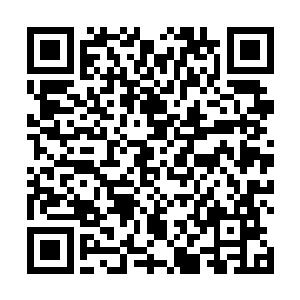 其实他从来就没有想过这个刁蛮任性的小公主会待见他二维码生成