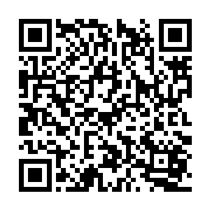 其实他们不大愿意扯进这两个年轻人的竞争中去的二维码生成