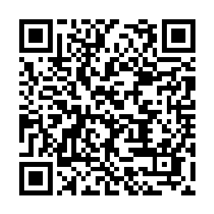 其实他们已经在赛前的新闻发布会上问过马加特了二维码生成
