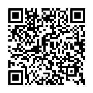 其实他们甚至完全不必闯入天星九宫的星宫之中二维码生成