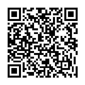 其实他俩也就是讨论着老爷子到底要不要回太医院去任职二维码生成