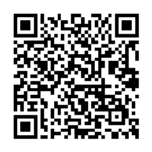 其实他挺不喜欢跟进入认真状态的王世子打交道二维码生成