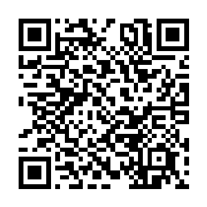 其实他早就注意到了青主对东宫那位有点不太正常二维码生成