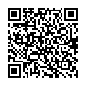 其实你出钱让连山打点时就已经落入到有心人的眼中二维码生成