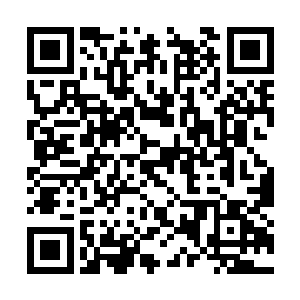 其实便是九头妖帅以本命精元修炼而成的本命法宝二维码生成