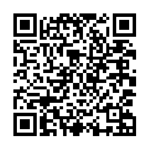 其实俄国桑博以色列马伽术和咱的擒拿格斗都一回事儿啊二维码生成