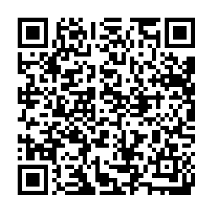 其实先前梓箐就在怀疑这些NPC的身体里住着一个个被格式化了的灵魂二维码生成