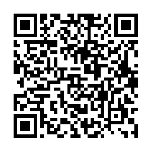 其实凤羽珩不是不明白学有专长术有专攻这个道理二维码生成