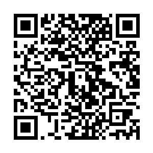 其实凯文也是在今天上午才从园长那里知道这件事情的二维码生成