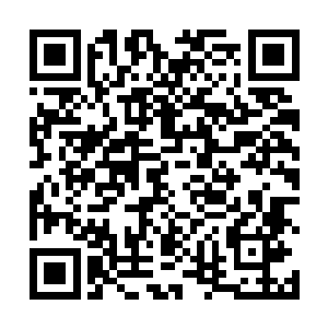 其实前段时间苏落在炼药师公会里的时候就一直在研究二维码生成