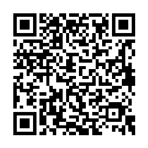 其实力也要比同等级的其他剑者更加强大上许多二维码生成