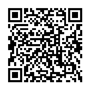 其实力都远远不能简单的用他们当前境界来衡量二维码生成