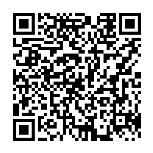 其实卢向东也不知道自己为什么突然想起来要看看这个女孩叫什么名字二维码生成