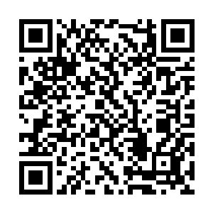 其实只是利用特定的声波让蛇起到本能的反应而已二维码生成