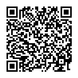 其实叶秋在握到梵天的脚踝的时候就已经知道梵天的脚踝没有事情了二维码生成