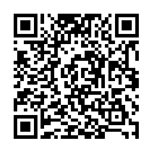 其实叶秋是在心里暗暗感慨着他的这些小伙伴们的傻二维码生成