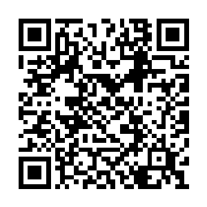 其实叶笑和凌无邪对于这两个人的反应都很奇怪二维码生成