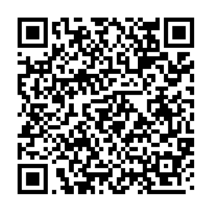 其实在刚刚凤辰将夏儿做出来的饭菜端出来的时候楚阳就有些好奇了二维码生成