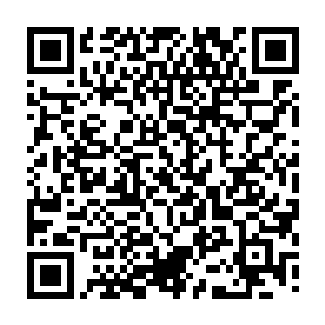 其实在她受伤后在太师府第一眼看见南玖的时候就看清了他清澈的眼底的心慕二维码生成