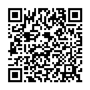 其实夏正名只是一心想着要给自己再找一个女人二维码生成