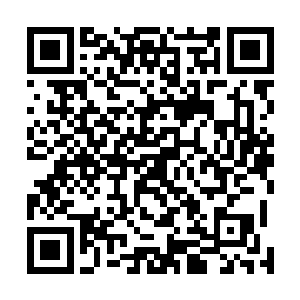 其实大哥到这里来就是为了在自己擅长的领域上虐他的吧二维码生成