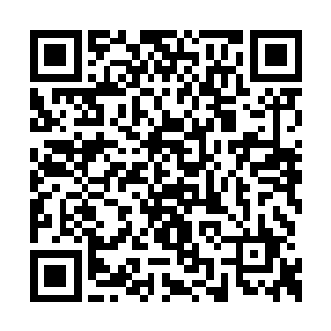 其实她们都知道自己出于本能的举止伤害了王枫二维码生成