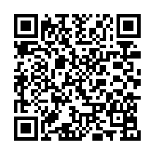 其实她对于丹符宗这个空间已经没有太多的留恋二维码生成