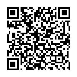 其实她是很羡慕方炎无论走到那里都会有一群朋友跟随的二维码生成