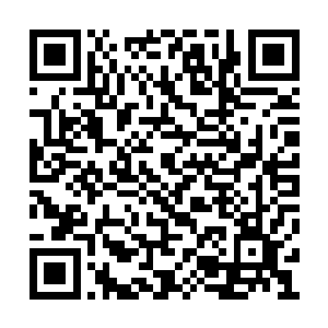 其实她那个死鱼脸老脸平时只会动不动生气以外二维码生成