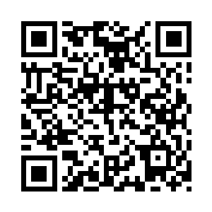 其实就是一棵棵看似很普通的树木构成的二维码生成