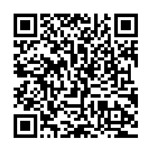 其实就是不忍心见从小看到这么大的小姐露出这样可怜的样子啊二维码生成