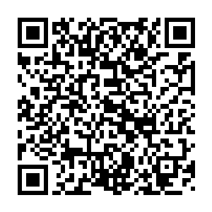 其实就是使用了某种幻术……或者就是用特殊能力干扰了战斗力探测器二维码生成