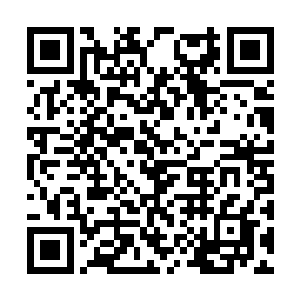 其实就是将自己的身家性命都卖给了这名巫师学徒二维码生成