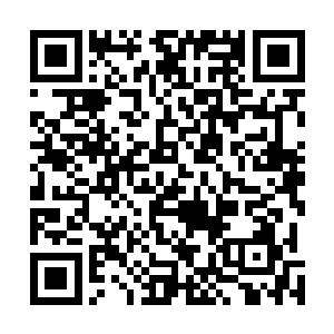 其实就是想说在和恶魔对抗的这个时期最吃香的还是机械二维码生成