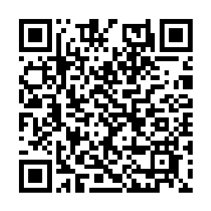 其实就是星辰阁第一次植入到我体内的那两个星域二维码生成