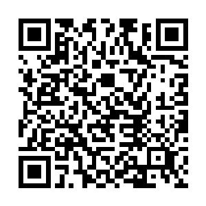 其实就等于是给了安智才一个随意前来南京城的令了二维码生成