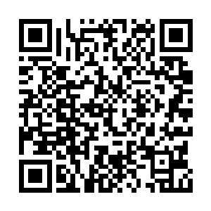 其实就算帅真和罗秋萍此时信心也起了一丝动摇二维码生成