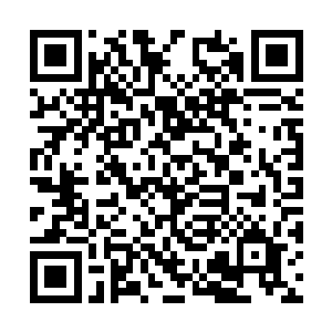 其实就算是其他人为了晋升而付出的代价也未必小二维码生成