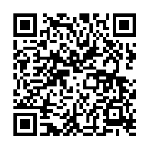 其实属性值面板上表现出来的数据是玩家的最完美状态二维码生成