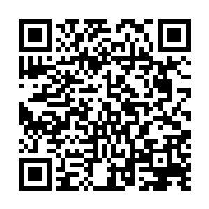 其实平等这个东西就是我要在海岛上要给你们的最大礼物二维码生成