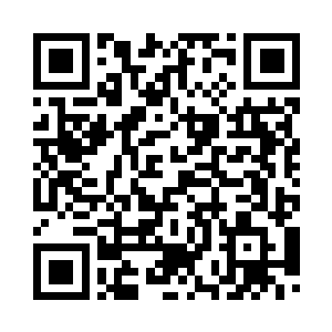 其实并没有像别人认为的那般愚蠢二维码生成