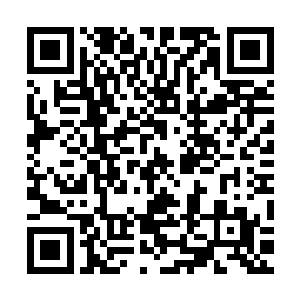 其实归根结底·那终究是我自己太过强烈的自我保护意识在作祟二维码生成