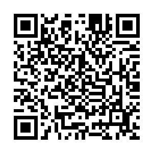 其实影帝的争夺从一开始就集中在汤姆和丹尼尔这两位演员身上二维码生成