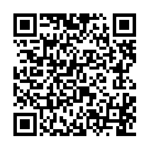 其实心里也是更赞成博文辞官做自己喜欢的事的二维码生成