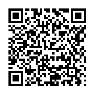 其实我一开始想的是把四姨姥引来直接奔死猪那喝血二维码生成