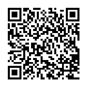 其实我也不习惯别人要挟我……本来要把谢家人也杀了二维码生成