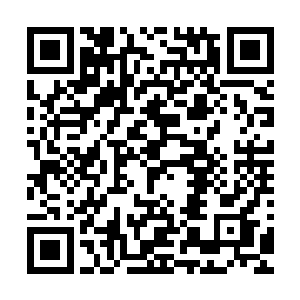 其实我也不过是把北大荒若干分之一能够看到的地方剥了地皮二维码生成