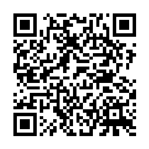 其实我今天来这里就是想向天下所有骨器师发出一个恳求二维码生成