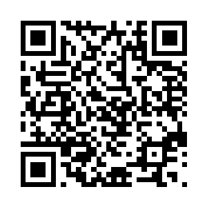 其实我们完全可以开发个人的信用报告二维码生成